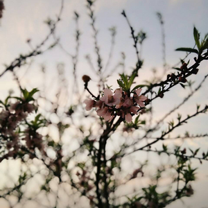 丽柜潼潼绳艺旗袍
