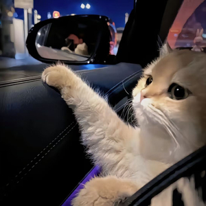 丽柜潼潼绳艺旗袍
