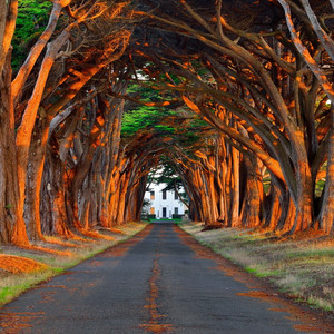 丽柜潼潼绳艺旗袍
